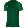 Koszulka piłkarska Nike Dri-Fit Academy JSY Jr DH8369 302 zielony XS (122-128cm)